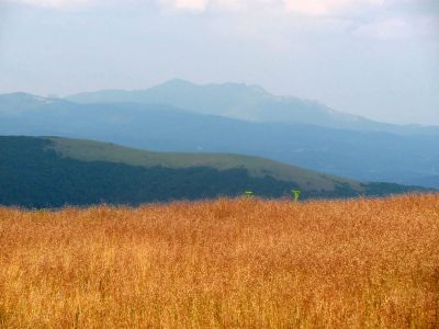 View From Grassy Ridge
Roan Mountain
Photo by RAT 
7-11-2010

