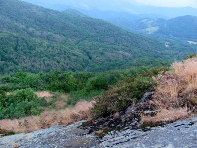 View From Round Bald
Roan Mountain
Photo by RAT 
7-11-2010
