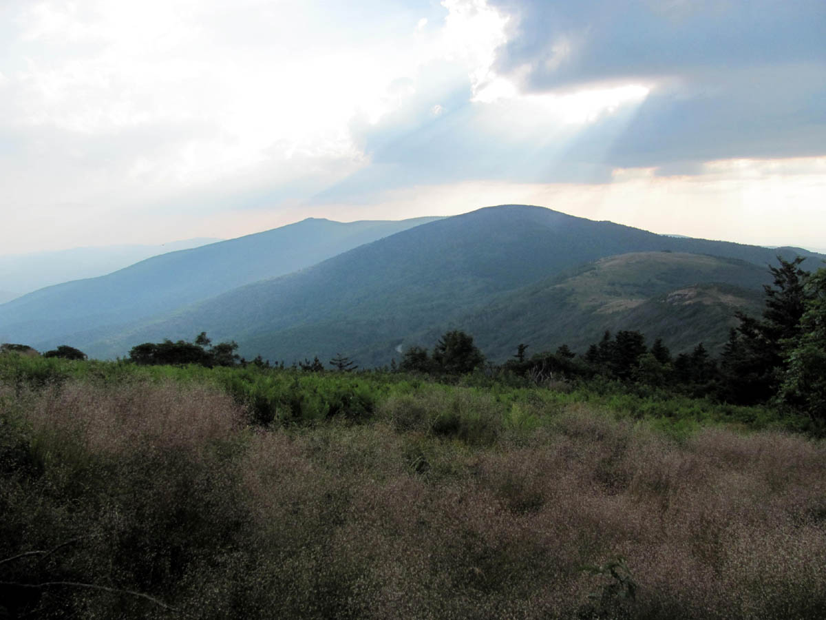 roan_view11.jpg