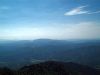 roan60.jpg