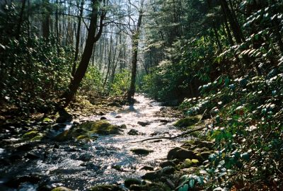 Clarks Creek
March - 2009
