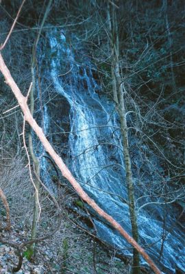 Chigger Branch Falls
aka Milky Way Cascades  March - 2009
