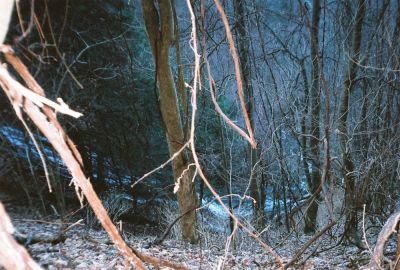 Chigger Branch Falls
nice view down of Chigger Branch Falls aka Milky Way Cascades  March - 2009
