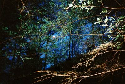 Moon
Moonrise over Longarm Ridge   March - 2009
