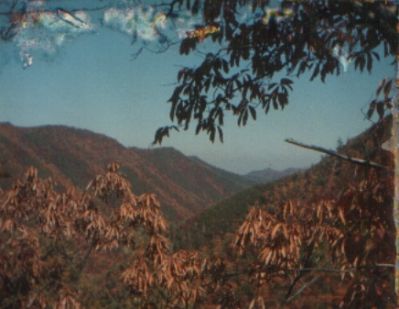 Clark's creek
Clark's creek as seen from ridge below Buckeye Falls
