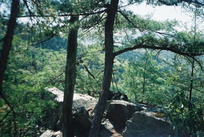 Jones Branch Lookoff Cliff
View from cliff.

