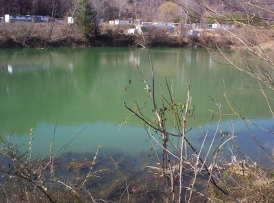Loch Ness Turtle Pond
