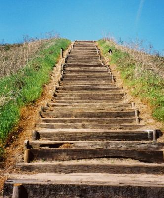 Steps leading to the top of the largest mound
The Etowah built these mounds...
