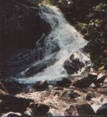 Middle Spring Ridge Falls 
Horse creek area, 198?
Photo by Rat

