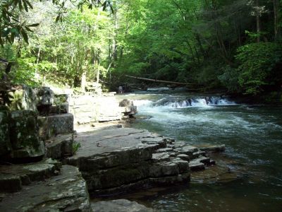 Creek Near Backbone Rock
Photo by Rat
2009
