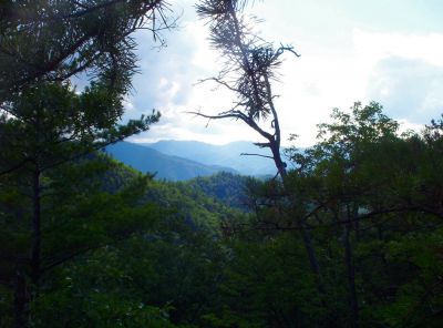 View of Nolichucky River Gorge and Mountains
...as seen from the Big Rock outcropping near Curly Maple Gap
