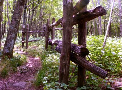 Old Fence on A.T.
...near the 'Beauty Spot' on Unaka Mountain, July 2009
