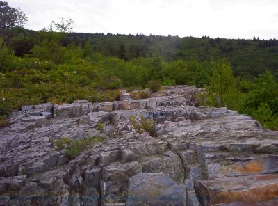 The Table Rock
...near the 'Pleasant Gardens' on Unaka, July 2009
