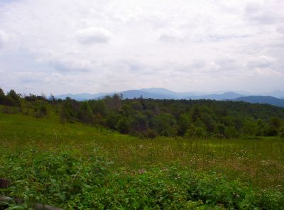 View From The Beauty Spot
Big Bald Mountain, Little Bald Mountain, and Flattop Mountain are all visible,
July 2009
