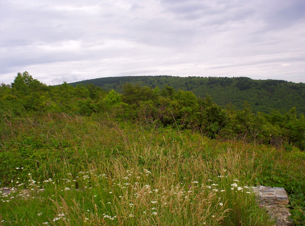 view_unaka_summit.jpg