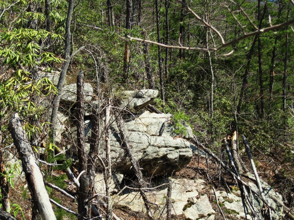(443)_Monkey-Head_Rocks_(Sill_Branch_Overlook),_3-19-10.jpg