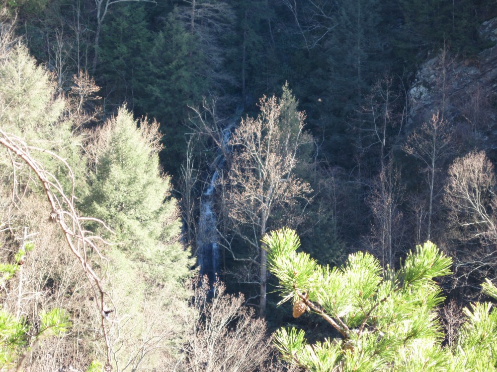(515)_Lower_Sill_Branch_Falls_as_seen_from_Cliffs,_MHR_s,_3-19-10.jpg