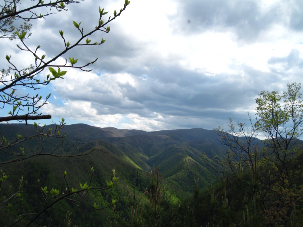 1144,_Longarm_and_Chigger_Ridges_(Rich_Mnt),_from__Flattop__on_Sampson_Mnt,_4-10.jpg