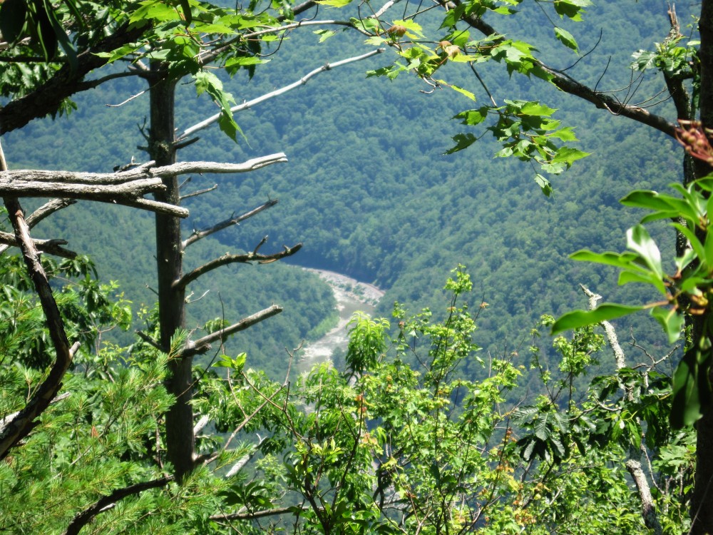 1872,_nolichucky_gorge,_view_from_NC-TN_state_line,_Unaka,_6-10.jpg