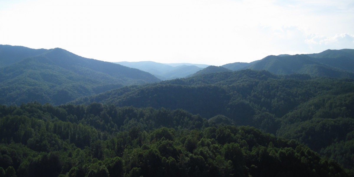2227,_Devils_Fork_Gap,_7-10.jpg