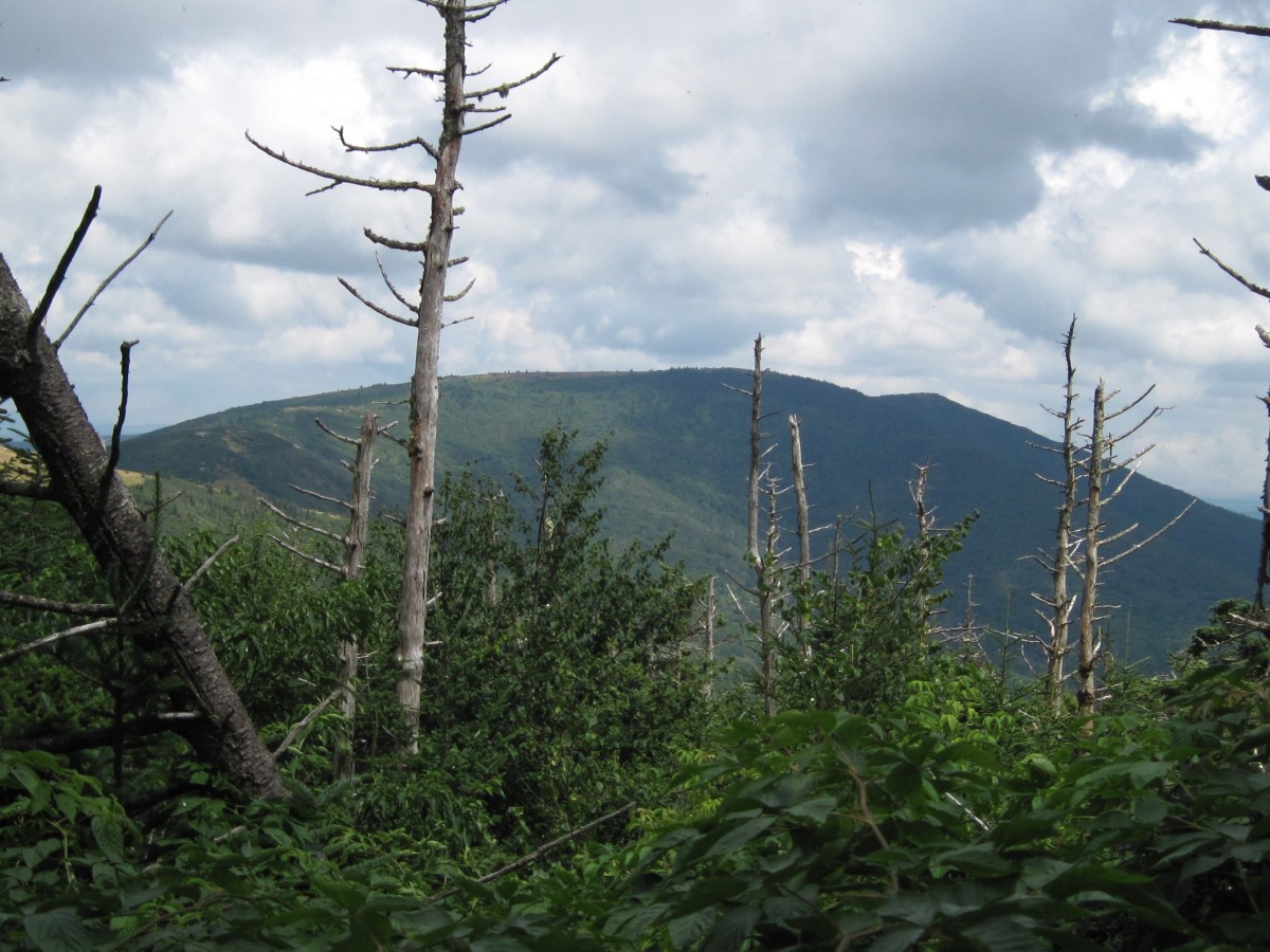 2285,_Grassy_Ridge,_7-10.jpg