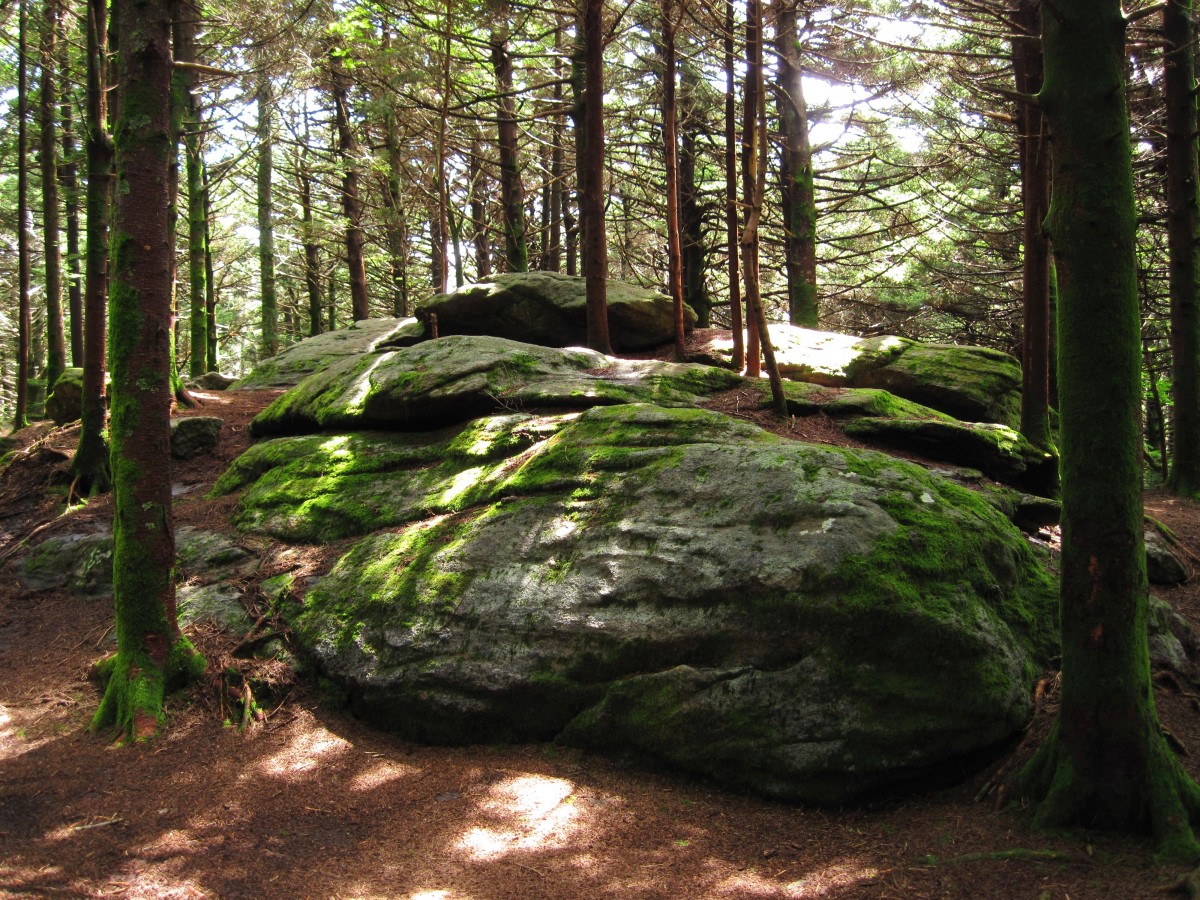2310,_Roan_High_Knob_summit,_7-2010.jpg