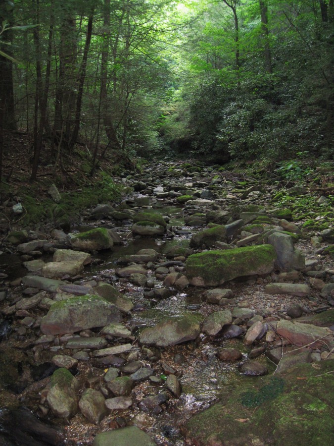 2384,_Clarks_Creek_crossing_in_August,_8-10.jpg
