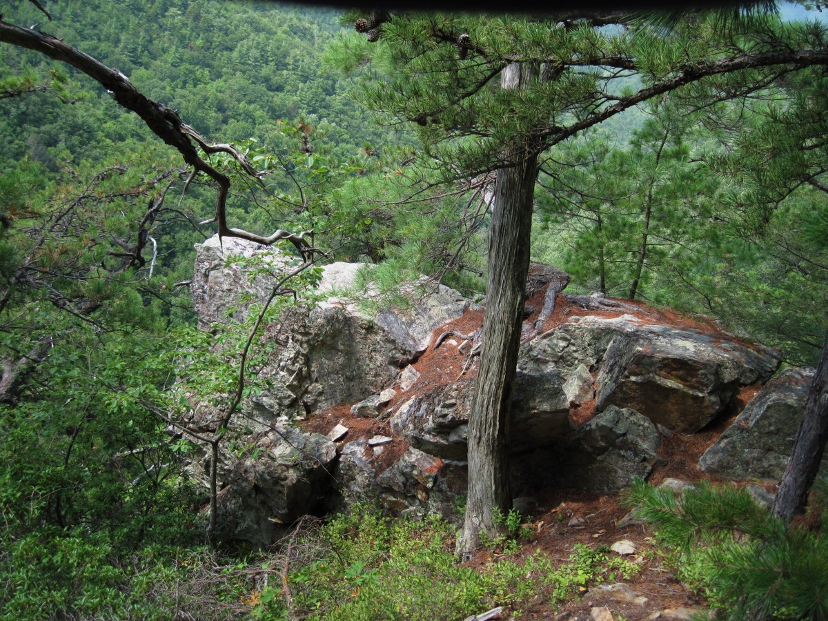 2680,_Jones_Branch_Overlook,_8-2010.jpg