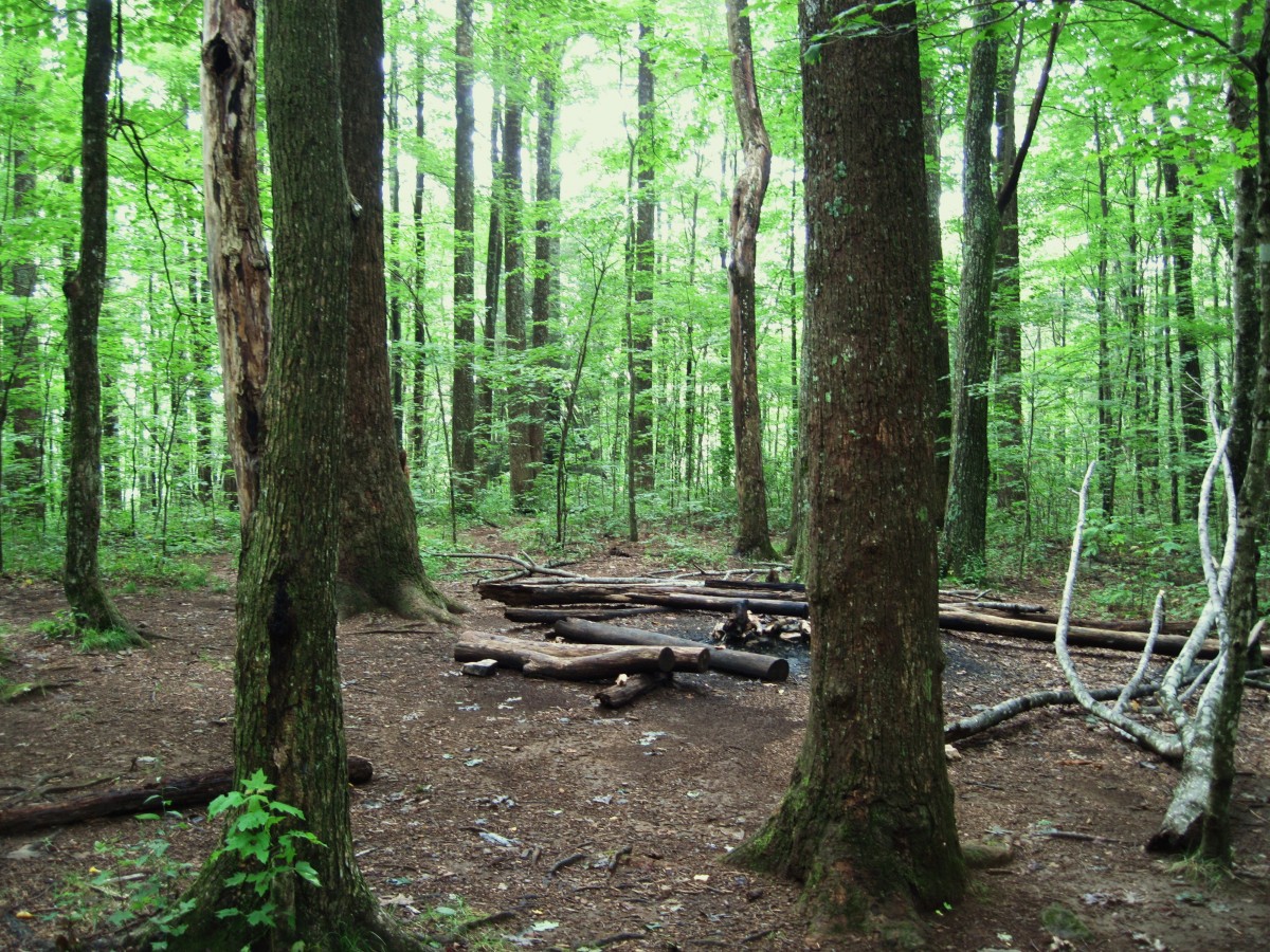 2912,_Whistling_Gap_campsite,_8-2010.jpg