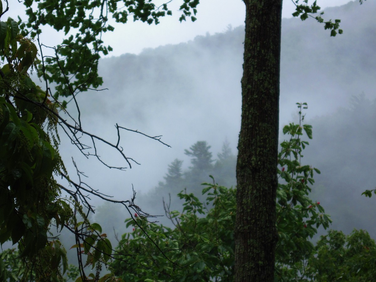 2971,_DCV,_fog,_8-2010.jpg