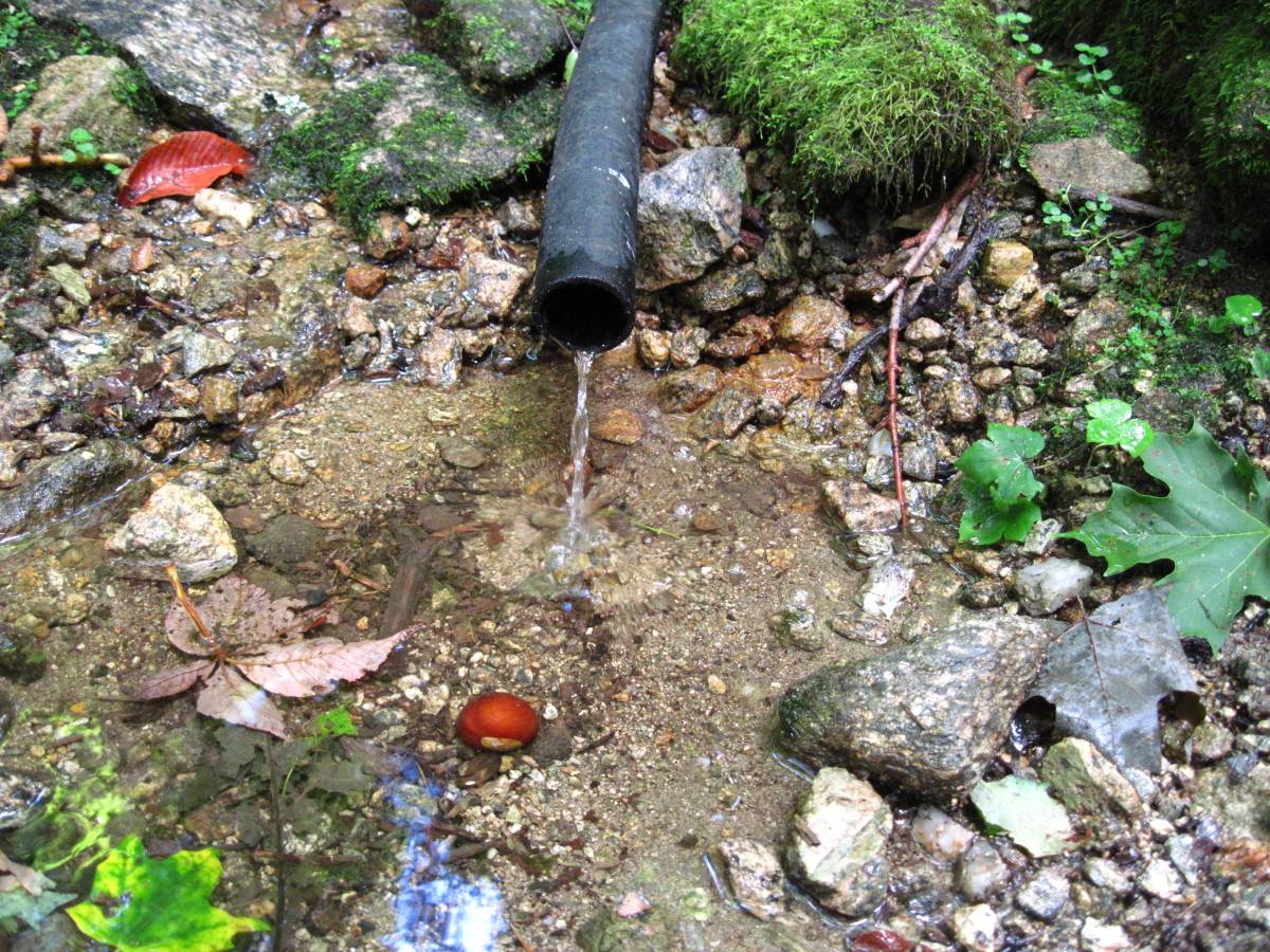 3715,_Big_Rock_Spring,_Bluff_Mnt,_RBH_day4,_9-10.jpg