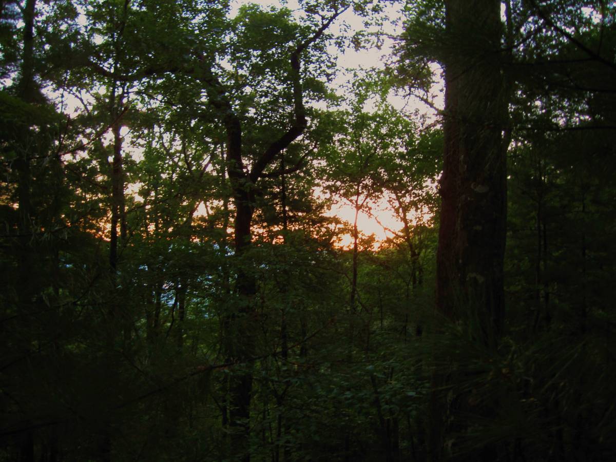 3745,_dawn,_camp_at_Lamb_Knob,_RBH_day5,_9-10.jpg