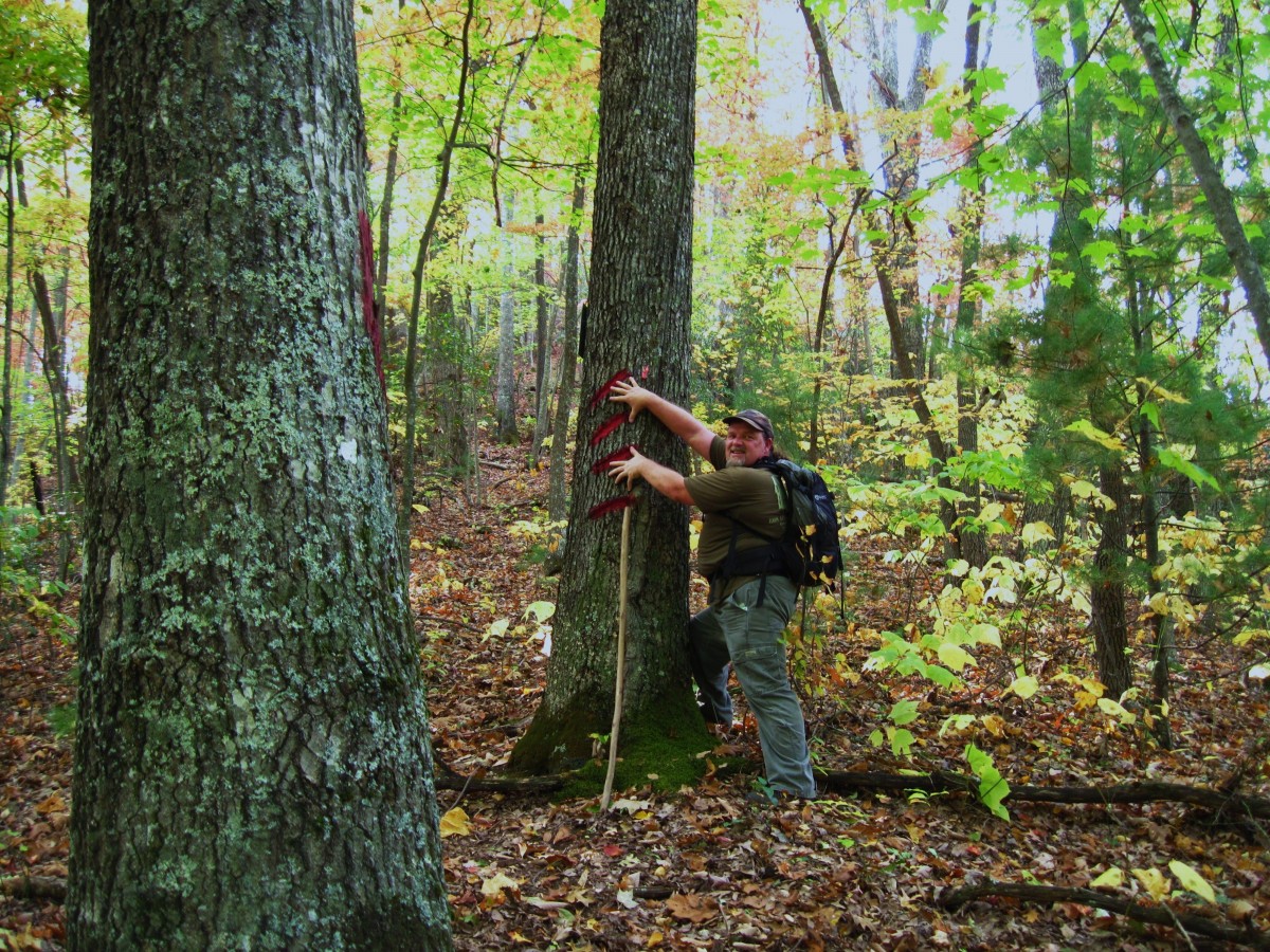 4206,_Rat_at_Red_Blaze_Trail,_Whitehouse_Mountain_Trail,_Rocky_Fork,_10-2010.jpg