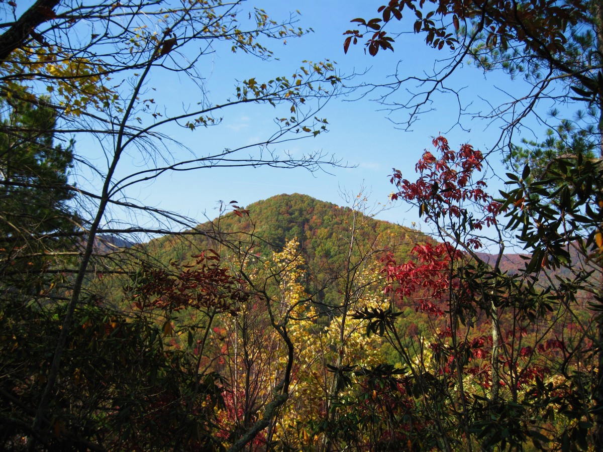 4220,_view_ascending_Whitehouse_Mnt_in_Rocky_Fork,_10-2010.jpg