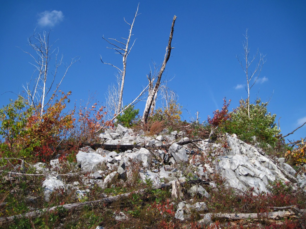 4267,_View_from_Whitehouse_Mnt_in_Rocky_Fork,_10-2010.jpg