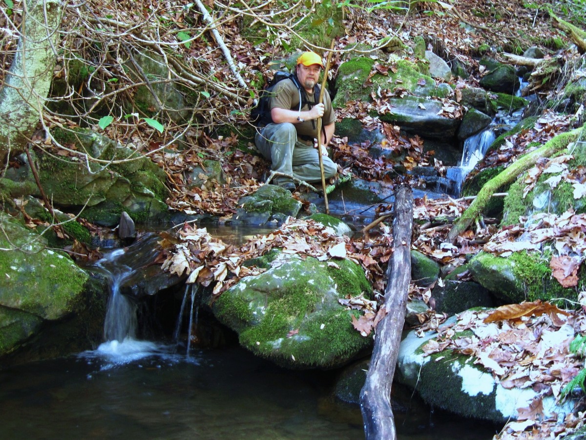 4514,_Rat_beside_Long_Branch,_Rocky_Fork,_11-13-2010.jpg