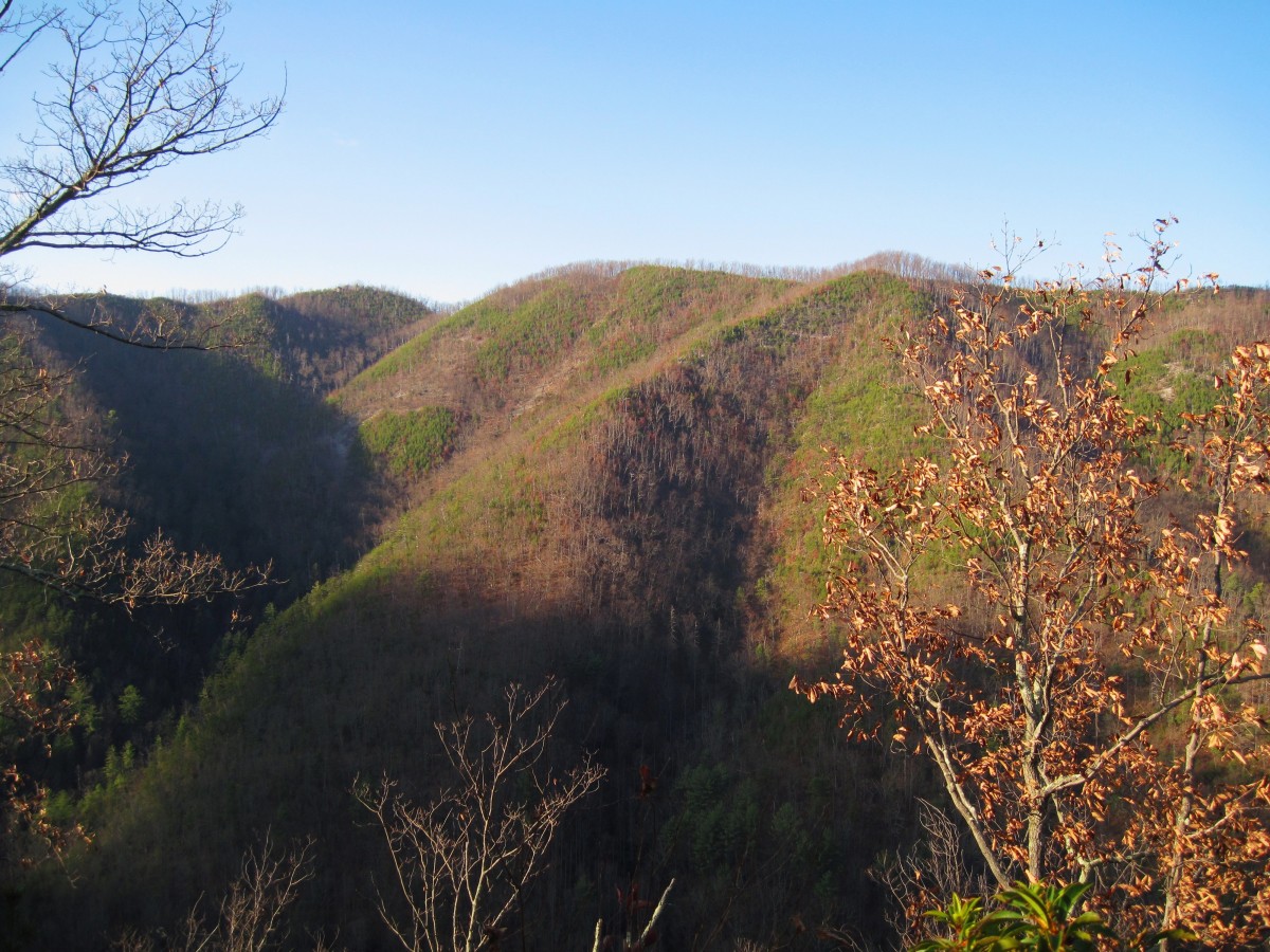 4839,_View_from_Longarm_Ridge,_Samson_Mnt,_11-27-2010.jpg