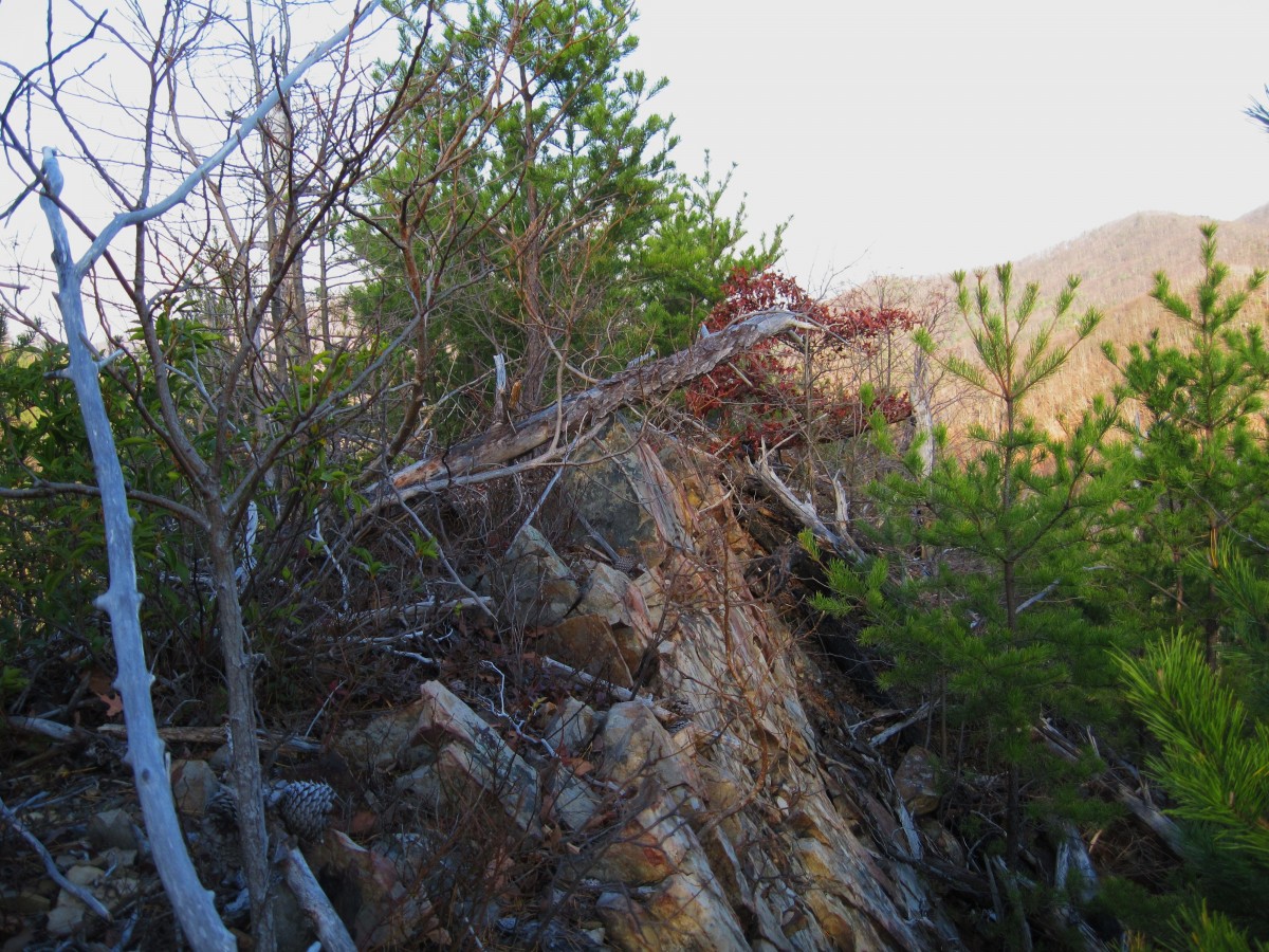 4856,_View_from_Longarm_Ridge,_11-27-2010.jpg