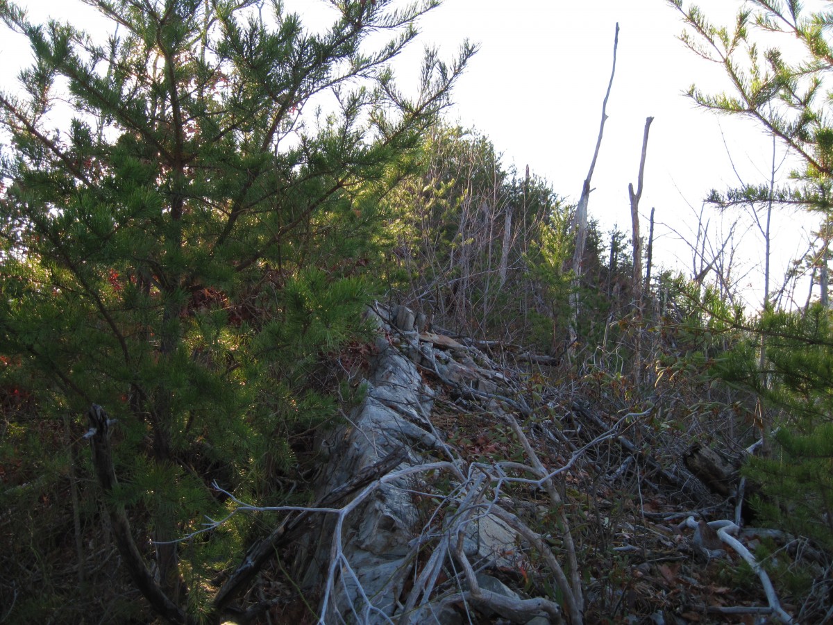 4864,_Longarm_Ridge,_11-27-2010.jpg