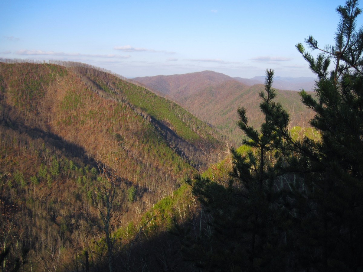 4865,_View_from_Longarm_Ridge,_11-27-2010.jpg