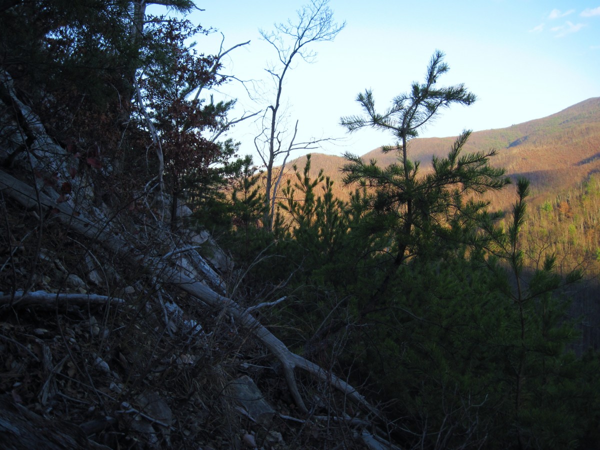 4892,_descending_Longarm_Ridge,_11-27-2010.jpg