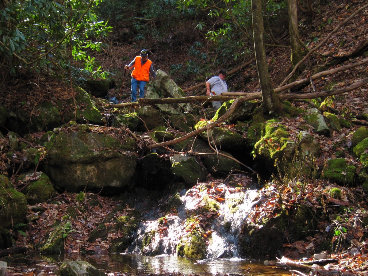 4928,_Dave_Aldridge_and_Rat,_Upper_Longarm_Falls,__11-29-2010.jpg