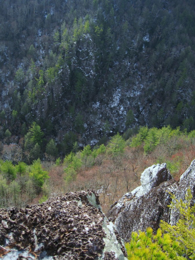 5122,__View_from_Whitehouse_Mnt_Cliffs,_12-11-2010.jpg