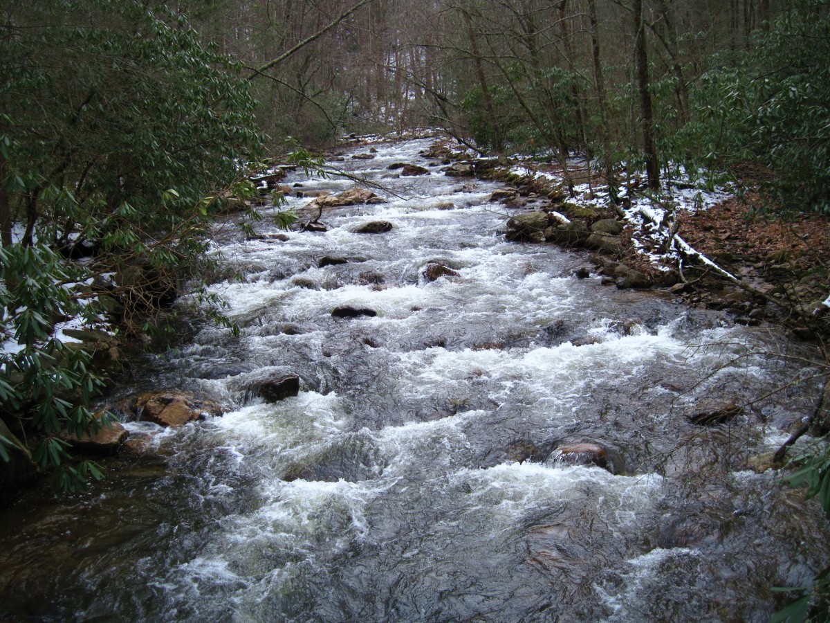 5175,_Laurel_Fork,_12-18-2010.jpg
