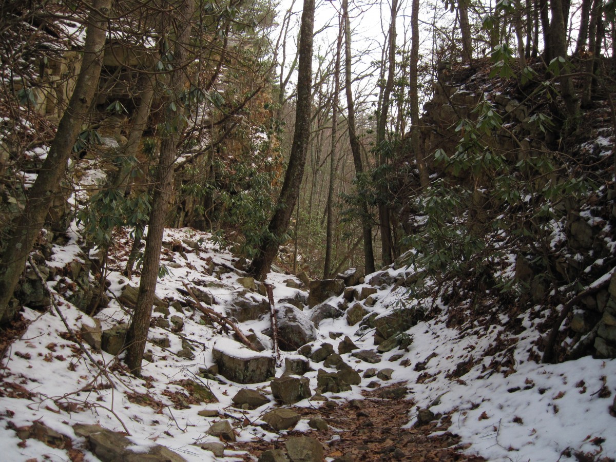 5243,_trail_in_Laurel_Fork,_12-18-2010.jpg