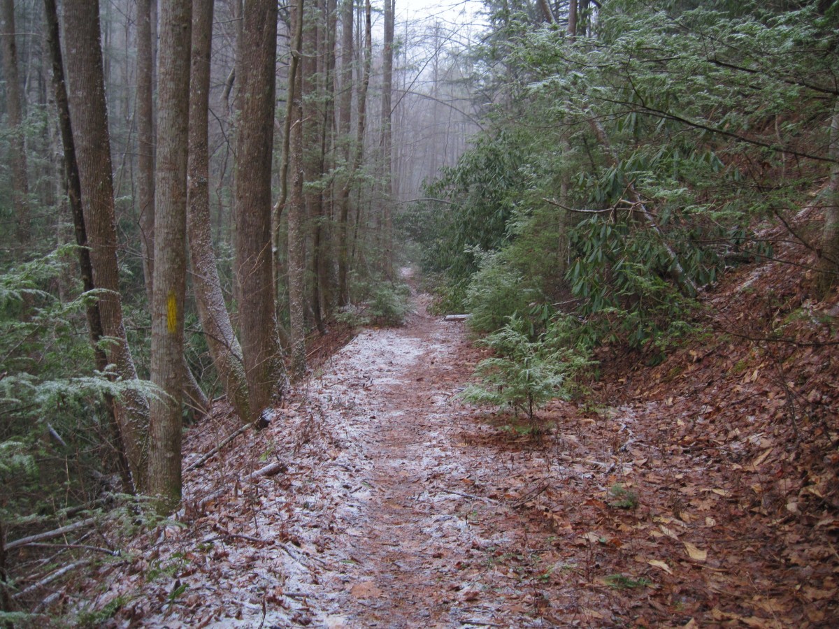 5399,_Longarm_Branch_Trail_with_snow,_1-5-11.jpg