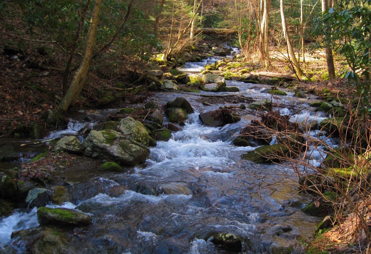 6943,_Buckeye_Trail,_2-26-11.jpg