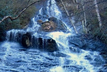 Cross Section of Falls
2-26-2011
