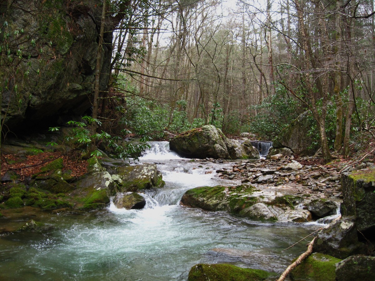 7196,_cascades_below_cliffs_on_Rocky_Fork,_3-5-11.jpg