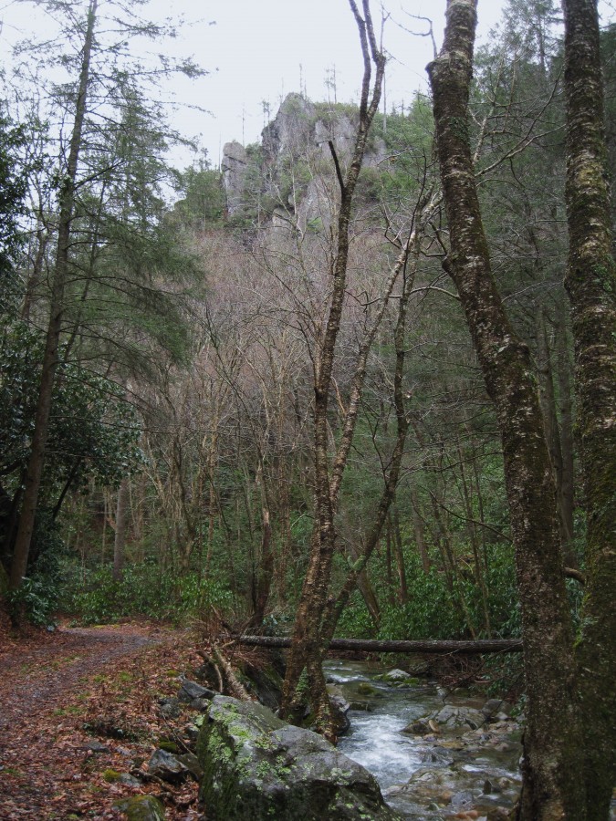 7204,_cliffs_on_Flint_Mnt_with_Rocky_Fork_creek_below,_3-5-11.jpg